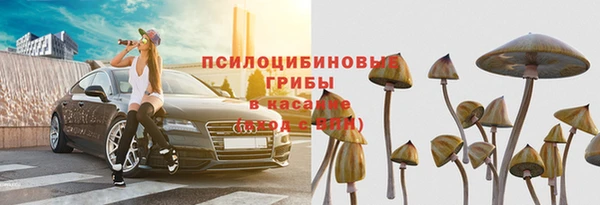 спиды Алексеевка