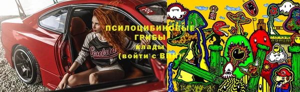 амф Абаза