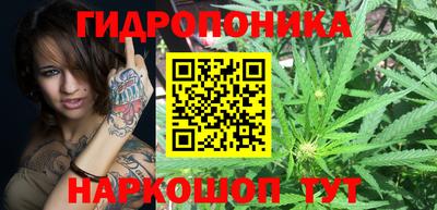 PSILOCYBIN Чебаркуль
