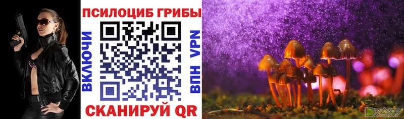 Псилоцибиновые грибы Magic Shrooms  Астрахань 