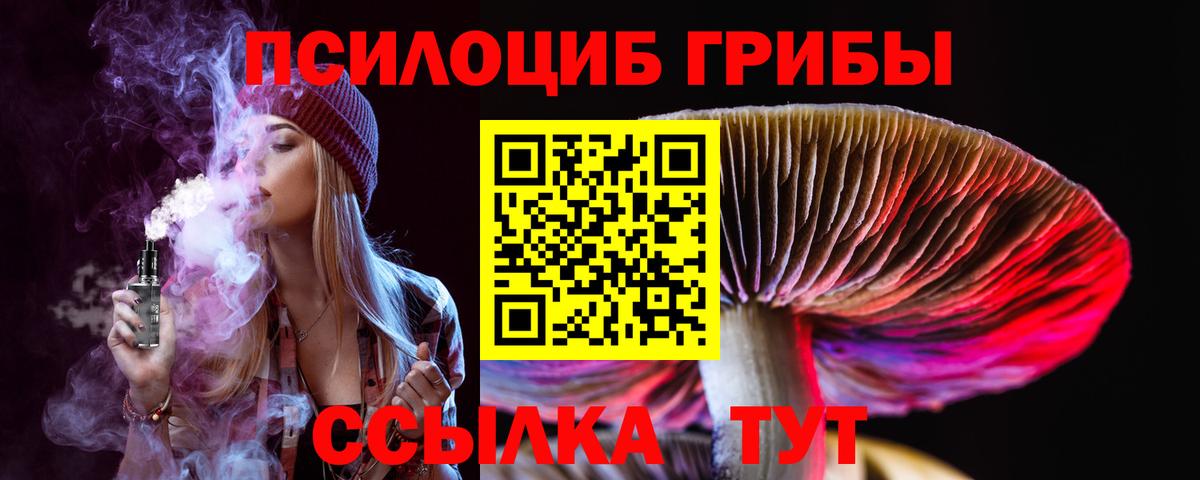Астрахань  Галлюциногенные грибы прущие грибы  Вход с VPN  Галлюциногенные грибы MAGIC MUSHROOMS 